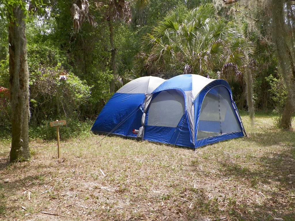 A blue two-room tent pitched on level ground in a wooded clearing