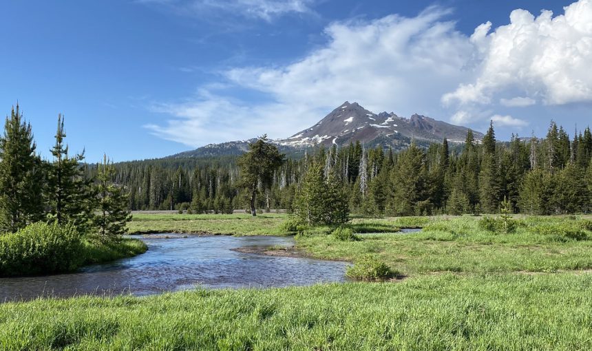 Park Passes and Camping Fees: What the America the Beautiful Pass Covers