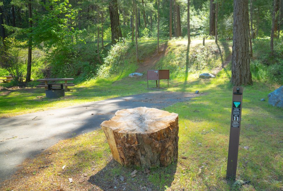 A shaded campground site with a picnic table, a numbered site post and a paved loop road through the trees