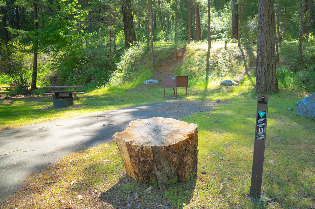 A shaded campground site with a picnic table, a numbered site post and a paved loop road through the trees